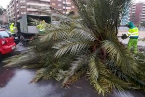 Gandia afronta amb tots els efectius disponibles el temporal de vent i mar