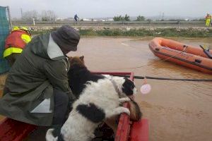 Rescats a Paterna i Alzira de veïns atrapats pel temporal
