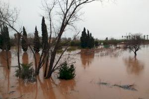 L’Ajuntament d’Alzira convoca el Consell Agrari per a valorar els efectes del temporal