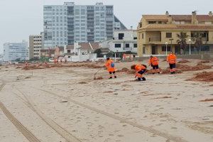 El Ayuntamiento duplica el dispositivo para limpiar las playas de València tras el paso del temporal Gloria