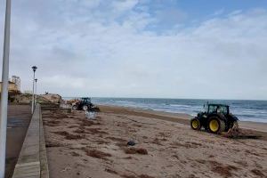 Sueca limpia sus playas y restablece las infraestructuras básicas