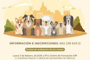 Paterna ofrece un nuevo curso gratuito de obediencia canina urbana
