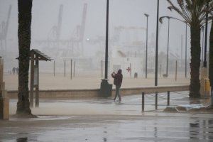 València apuesta por la regeneración dunar para hacer frente a los temporales