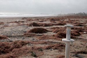 Burriana busca voluntarios para recuperar sus playas devoradas por el temporal