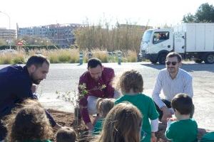 Valencia tiene 114.000 árboles plantados en sus calles