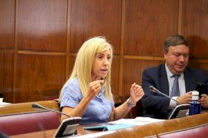 Torrado espera que el Ayuntamiento “no retrase más la declaración de Valencia como Ciudad Neuroprotegida”
