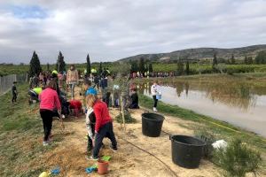 Escolars d'Alcalà-Alcossebre planten 550 arbres dins de les activitats del Dia de l'Arbre