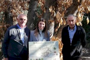 María Jiménez entrega cinc panells informatius d'arbres monumentals en l'Alt Palància