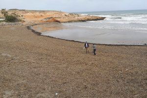 La Concejalía de Limpieza Viaria y RSU inicia dos campañas de recogida de plástico en las playas de Orihuela costa