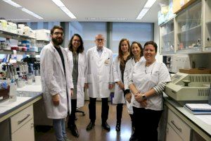 La Universitat de València participa en un estudi internacional que obri noves vies per a frenar la metàstasi del melanoma