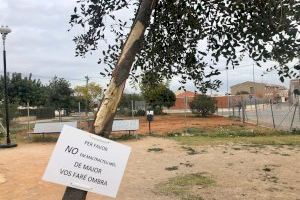 El Ayuntamiento de Betxí cuelga un cartel de socorro para salvar un árbol que ha intentado ser arrancado en repetidas ocasiones