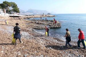 Voluntaris recullen 600 kilos de residus al litoral d’Altea
