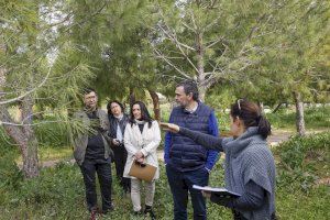 El Ayuntamiento de l’Alfàs mejorará el entorno del Parc Sant Pere