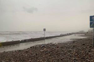 El PP reclama la comissió de seguiment del litoral per a abordar l'abandó de la costa