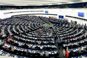 Llevan al Parlamento Europeo los problemas de los niños TEA en el sistema de inmersión lingüística obligatoria