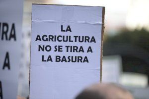 Los políticos valencianos se suman a la concentración del sector agrícola