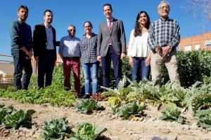 El alcalde Rubén Alfaro felicita a la EEI Nuevo Almafrá por el Premio Nacional Huertos Educativos Ecológicos