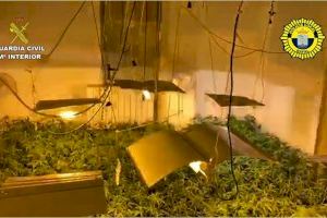 La Guardia Civil desmantela un cultivo de marihuana dentro del casco urbano de Rafal