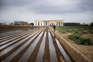 Els agricultors de València presenten 44 propostes de millores en el camp valencià