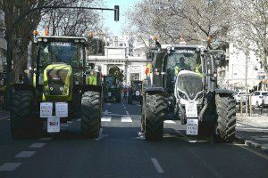 Los agricultores castellonenses se reúnen con la consellera Mollà tras la histórica manifestación del 14F
