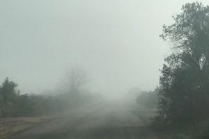 ¿Por qué Valencia ha amanecido cubierta de niebla?
