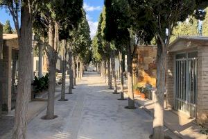 El Ayuntamiento de San Vicente abre el plazo para participar en la subasta de suelo para la construcción de panteones en el Cementerio Municipal