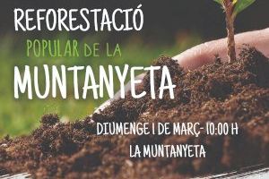 Los niños de Alberic apadrinarán los árboles en la reforestación de la Muntanyeta del 1 de marzo