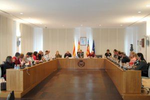 Vila-real aprueba por unanimidad la nueva composición del Consell Local de l’Esport