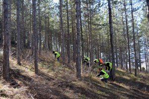 El taller de ocupación para la conservación de montes comienza a trabajar en la Alameda de Morella