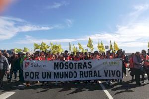 Els agricultors d'Alacant ixen de nou al carrer