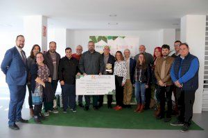El colectivo festero de San Vicente gana el concurso  autonómico de reciclaje ‘La recoquista del vidrio 2019’