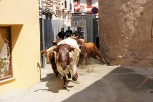 El Concurso de Ganaderías Ciudad de Segorbe comenzará los lunes de toros