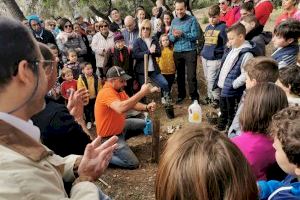 Decenas de personas participan en la reforestación popular de la Muntanyeta de Alberic
