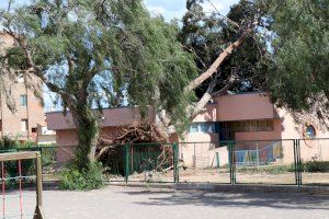 Varios techos arrancados y árboles caídos en colegios de Sagunt obligan a extremar la alerta