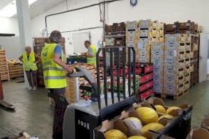 El Banco de Alimentos repartirá medio millón de kilos de comida en Valencia