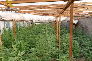 Desmantelan varios cultivos Indoor de marihuana en Sueca y Cheste