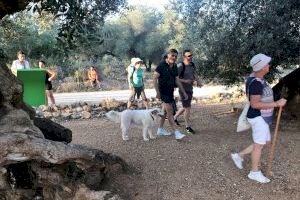 Canet lo Roig estrena cicle de rutes turístiques amb les oliveres com a protagonistes