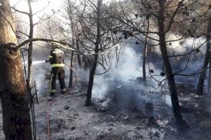 Bomberos del SPEIS controlan con celeridad un incendio en la Serra Grossa de monte bajo, pinos  y matorrales