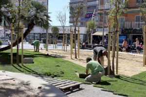 Benidorm inicia las labores de jardinería en la renovada Plaza de la Hispanidad