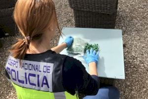 Cinco detenidos por tráfico de drogas en Gandia y Xàtiva