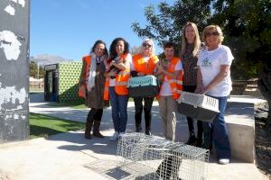 156 gatos esterilizados en la “Campaña 2019” de La Nucía
