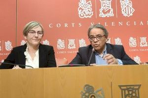 Manolo Mata: “La suspensión del pleno es una decisión política que busca que Les Corts no tomen decisiones sin la concurrencia de un grupo”