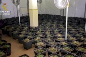 Desmantelado un laboratorio de cultivo indoor de marihuana en un chalet de Mutxamel