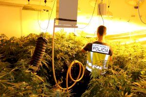 La Policía Nacional desmantela una plantación de marihuana “indoor” y detiene a dos hombres