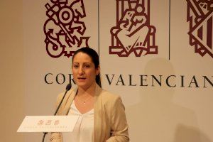 VOX pide que Mónica Oltra comparezca por el descontrol de los casos de coronavirus en residencias de mayores