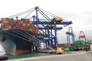El Port de València registra un pic d'importacions agroalimentàries