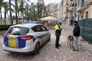 La Policía Local de Alicante comienza a controlar el tiempo de paseo de los perros