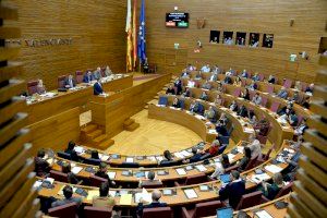 Los diputados del PSPV-PSOE en Les Corts donarán la indemnización por el ejercicio de su cargo a entidades que luchan contra el coronavirus