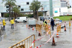 El Ayuntamiento sustituye las baldosas dañadas del Paseo de Levante