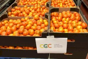 El CGC dona 40.000 euros y 5 toneladas de mandarinas a entidades caritativas para aliviar la crisis del Covid-19